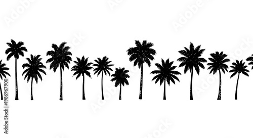 Palm tree silhouette border on white background with tropical coastal resort feel for summer vacation illustrations