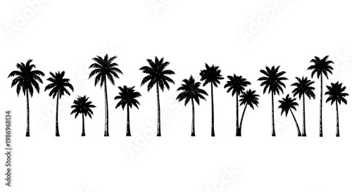 Palm tree silhouettes row with tropical leaves, minimal black icons on a clean white background for summer design