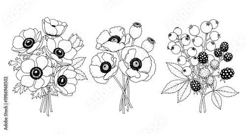 Flowers hand drawn bundle with simple line art petals and berries on stems, set of three botanical sketches for design