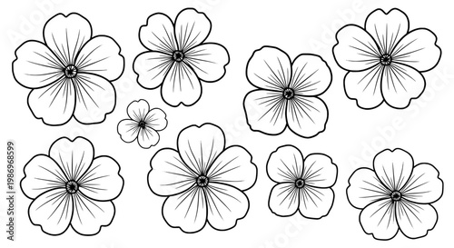 Flowers line art set with black outline petals and circular centers, decorative botanical doodles for backgrounds and crafts