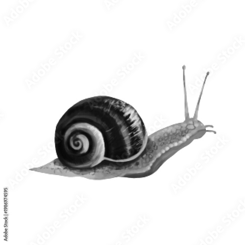 Halftone illustration of a snail with a spiral shell, isolated on white background. Symbol of slowness, patience, nature, and quiet movement, rendered in a detailed dotted vintage style.