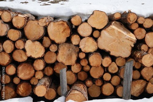 Stacked pine logs showing annual rings and snow