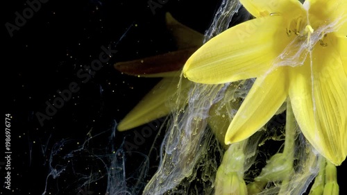 Luxury lily afloat in ink, glossy adstyle closeup of bloom wrapped in smoky pigment, glamorous highend feel with cinematic lighting and refined detail