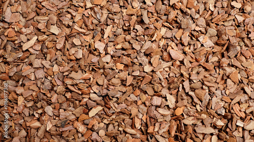 Canvas Print Pine bark substrate soil fraction 6-9 mm for plant cultivation, featuring a text