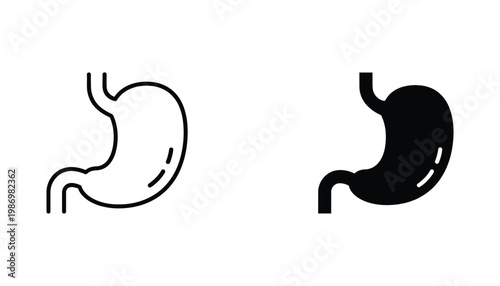 Stomach Anatomy Icon Medical Illustration Digestive System Concept