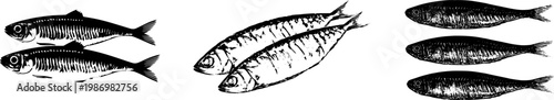 A highly detailed macro of raw Kippers showcases their golden-brown skin and oily flesh against a pure white background