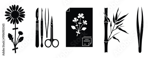 Botanical science tools and plant specimens for biology research and educational resources