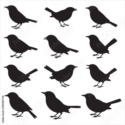 Wren Bird Silhouette