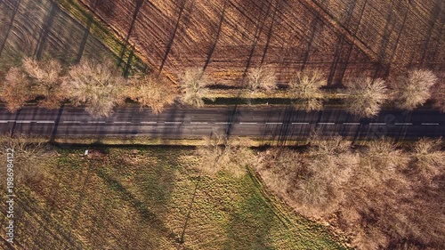 Empty asphalt road surrounded by fall nature and trees
