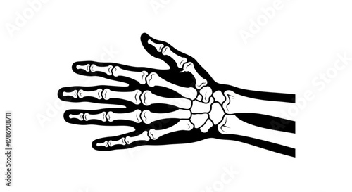 Black and White Vector Illustration of Human Skeleton Hand and Wrist Anatomy