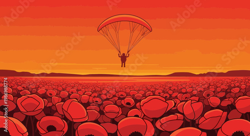 Paraglider Descends Over Vast Poppy Field at Sunset