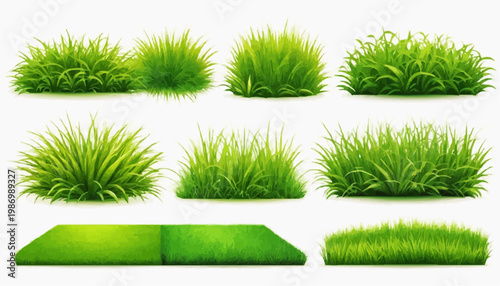 Lush green grass patches vector set, isolated on white background.
 
