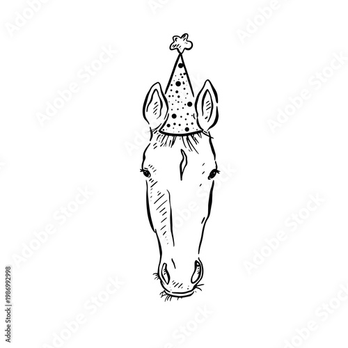 A horse head. Horse wearing a party hat. Hand drawn in black line. 