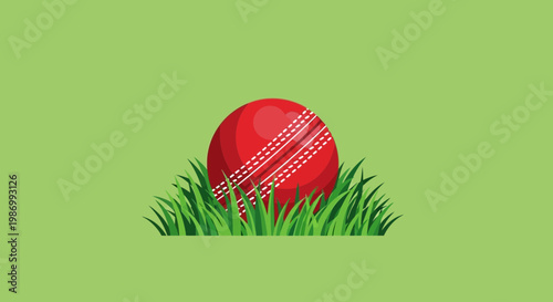 Red Cricket Ball Rests Amongst Lush Green Grass