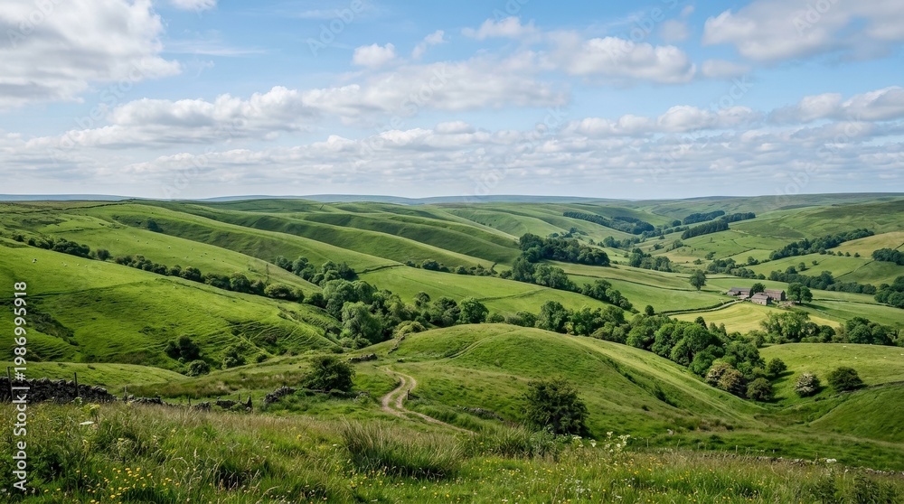 Fototapeta premium Rolling green grass hills under open sky, layered contours, lush vegetation and fresh natural color, tranquil countryside mood with clear daylight, ultra-realistic, no logos.