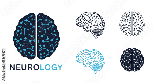 Conceptual brain illustrations showcasing neurology and neuroscience concepts