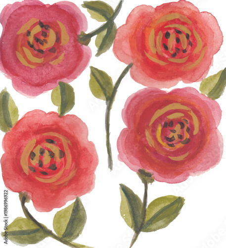Group of four roses watercolor hand drawn art
