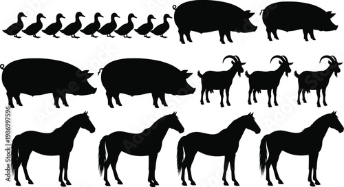 Farm animals silhouette collection ducks pigs goats horses livestock agriculture domestic animal shapes black vector illustration set