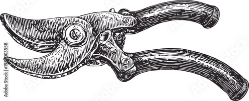 Vintage garden pruning shears hand drawn illustration with detailed handle and blade