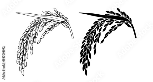 A muscular man is drinking water from a bottle in a modern gym after an intense workout session with fitness equipment around him