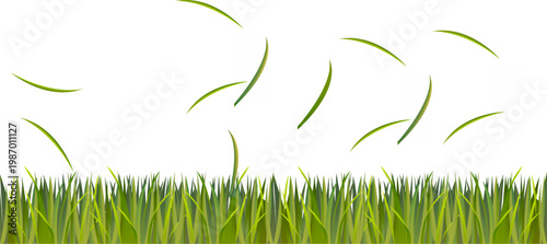 Fresh green grass border with flying curved blades and natural lower edge, clean decorative vector resource for spring and eco themed layouts