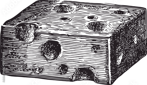 Block of swiss cheese with holes vintage detailed illustration of dairy product