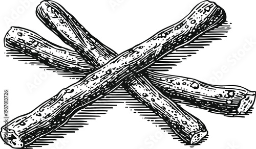 Licorice roots illustration hand drawn herbal medicine botanical sketch of glycyrrhiza glabra roots with texture and shading