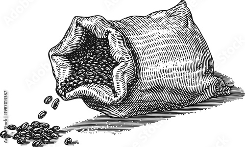 Vintage sack spilling coffee beans hand drawn black and white illustration of burlap bag with roasted coffee beans scattered