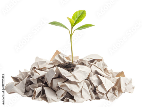 crumpled paper ball isolated