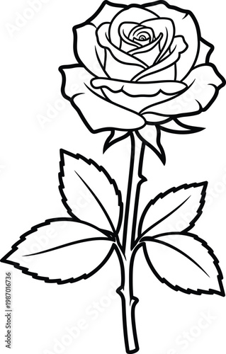 Rose flower coloring page outline art