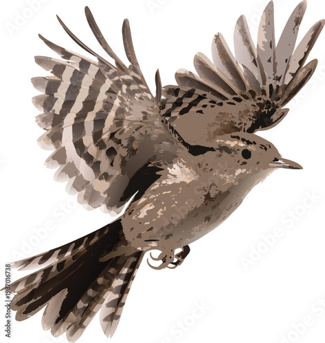 Soaring Bird: A digitally painted bird in flight with open wings, embodying freedom and grace. Capturing its detailed feathers and elegant pose.