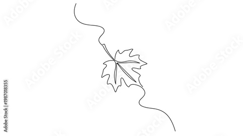 Elegant single line drawing of a maple leaf with flowing curves symbolizing autumn and nature's beauty in a minimalist artistic style