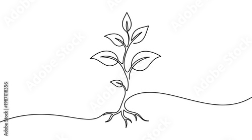 Minimalist single line drawing of a seedling growing from roots symbolizing new life growth and development in nature