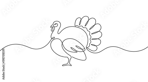 Single line drawing of a turkey with its tail feathers fanned out on a white background Thanksgiving holiday concept