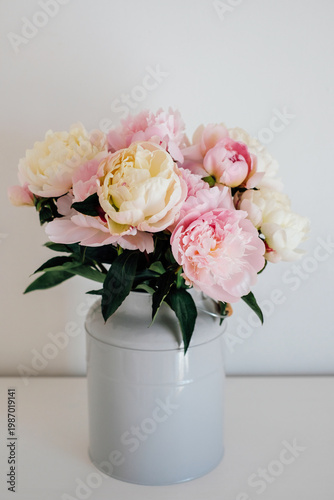 Beautiful bouquet of fresh colorful peonies in full bloom in vase against white background. Floral spring still life.