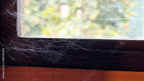 tiny strings of spider web close up