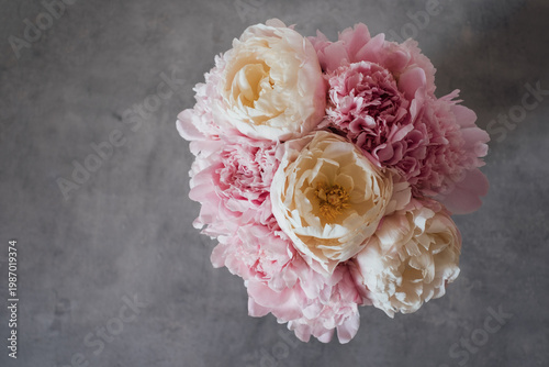 Heap of beautiful fresh colorful peonies in full bloom on gray background, top down view. Negative space for text.