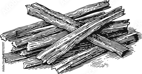 Hand drawn illustration of dried licorice roots arranged in a pile with detailed textures and shading