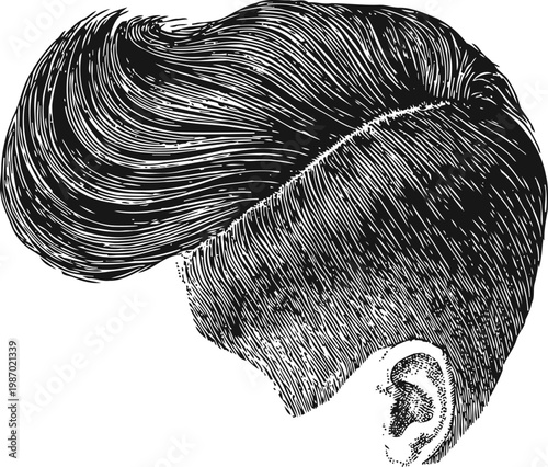 Retro men's pompadour haircut detailed sketch classic vintage hairstyle with volume and slicked back sides