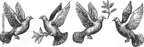 Four vintage doves in flight, flying birds holding olive branches, symbol of peace and harmony