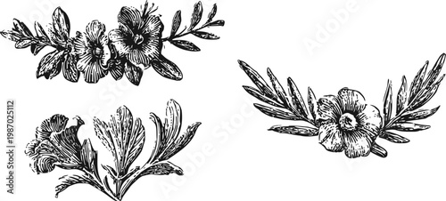 vintage floral decorative elements hand drawn black and white flower branches with leaves