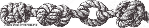 Various detailed rope knots tied along a thick twisting rope in hand drawn vintage illustration