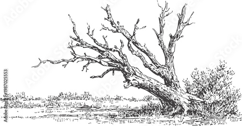 fallen tree with twisted branches lying in a grassy field with shrubbery in black and white sketch
