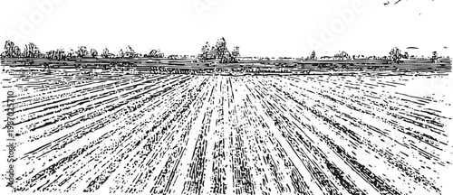 Plowed agricultural field with distant trees under clear sky, rural landscape farming scene