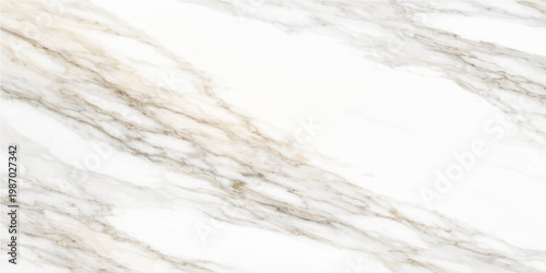 A close-up photograph showcases the exquisite natural veining and intricate patterns found in a luxurious marble surface, creating an elegant and sophisticated look.