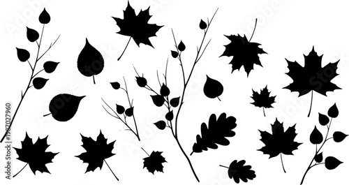 Branch leaves silhouette, Leaf silhouettes, Leaves silhouette, Decorative autumn leaf silhouettes, Branch leaves, Leaf, Leaf icon

