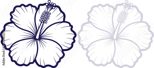 Hibiscus flower line art icons in dark blue and light gray isolated on white background