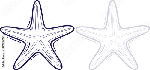 Starfish Hand-Drawn Outline Illustration Isolated on White Background