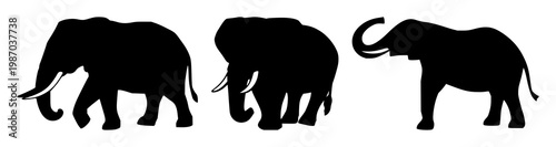 Wildlife conservation elephant set with solid black icon and white background featuring global, environment, animal with ecology and nature