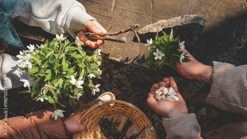 Children's hands collecting wildflowers, stones, and sticks on a wooden surface
